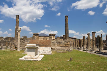 Half Day Pompeii Tour with Wine Tasting and Lunch from Sorrento