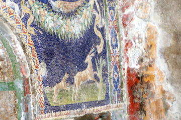 Pompeii and Herculaneum Day Trip from Sorrento