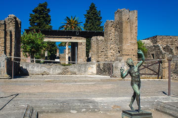 Private Pompeii and Herculaneum from Sorrento
