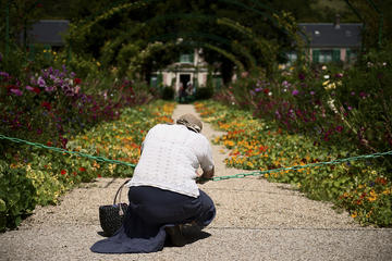 Private Giverny All-inclusive Photography Tour from Paris