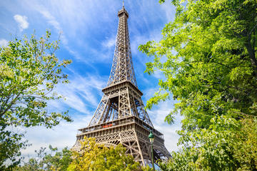 Priority Access to the Eiffel Tower and Catacombs