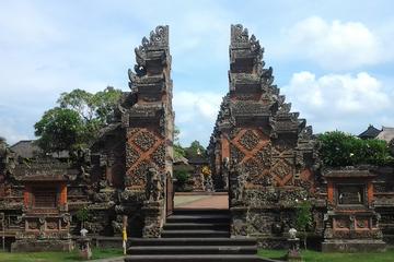 Full-Day Ubud Traditional Village Sightseeing Tour
