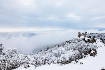1-day Hiking on Snow-capped Hangzhou Longwang Mountain