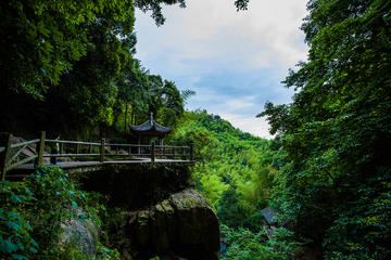 Small Group Hiking Day Tour on Mount Mogan from Hangzhou