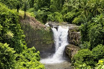 Chasing Waterfalls