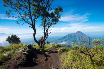 Mt. Merapi Slopes Hiking Day Trip from Yogyakarta