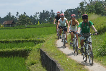 Ricefield Electric Biking