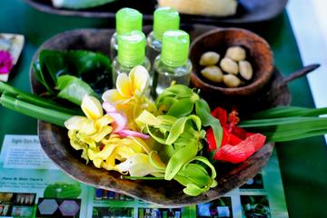 Traditional Bali Medicine Half-Day Tour Including Jamu Class