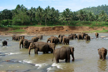 Private 2-Day Kandy excursion