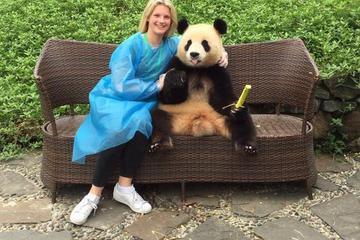 2-Day Private Tour of Chengdu Including Panda Base And Giant Buddha