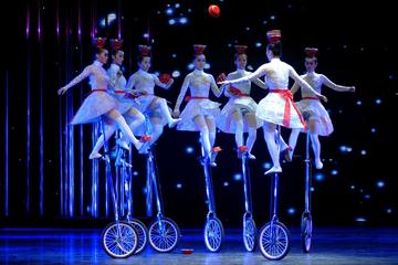 5-Hour Beijing Night Show Tour