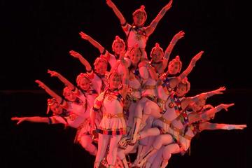 Beijing night tour including Acrobatics show and Peking duck dinner