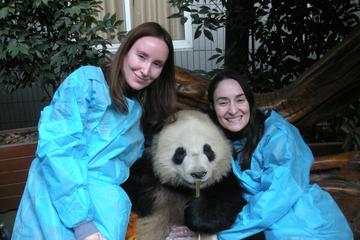 One-Day Private Panda Tour of Chengdu