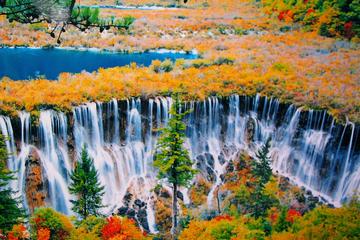 Private 5-Day Amazing Tour: Chengdu and Jiuzhaigou Tour Combo Package