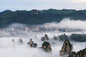 Private Zhangjiajie Day Trip with Grand Canyon and Yellow Dragon Cave