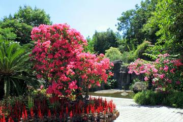 Xiamen Private Day Tour: Botanical Garden and Jimei School Village