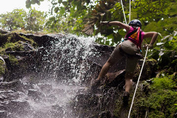 Sky Adventures Arenal Park Tour Including Ziplines, Canyoning and Rappelling