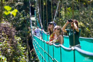 Sky Adventures Park Sky Walk Tour - Monteverde