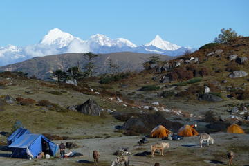 Bhutan trekking tour