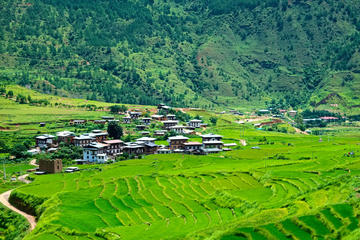 Bhutan Walking Holidays - Beyond the Clouds