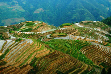 All Inclusive Private Day Tour of Longji Rice Terraces and Minority Village