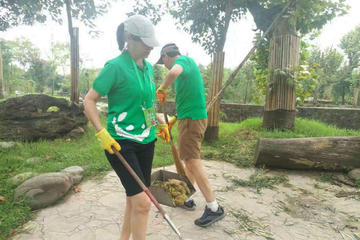 All-Inclusive Private Day Tour of Panda Volunteer Experience in Chengdu