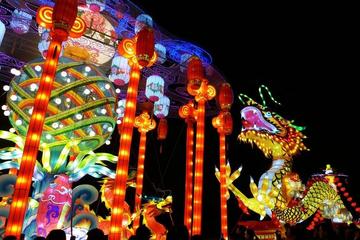 Lunar New Year Celebration: Private Tour of Chinese Lantern Festival on the Xi'an City Wall