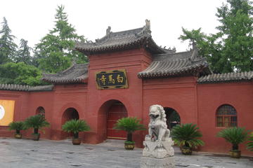 Luoyang Classic Day Trip with Hotel or Railway Station Transfer