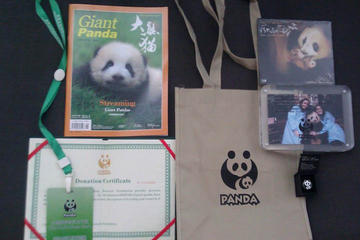 Dujiangyan Panda Base with Optional
