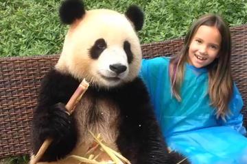 Dujiangyan Panda Base with Optional Volunteering and Photo-taking with Panda
