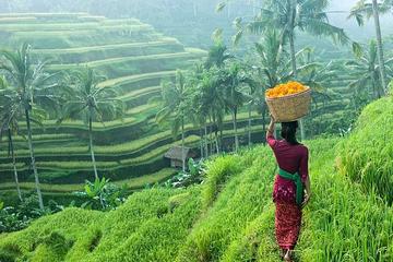 Private Half-Day Ubud Art and Culture Tour