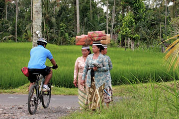 Bali Adventure Mountain Bike Tour