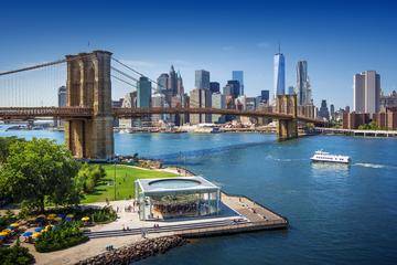 9-Hour Private Manhattan and Brooklyn Tour with Private Driver-Guide and Vehicle