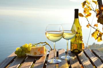 Private Hamptons Tour and North Fork Long Island Wine Tastings