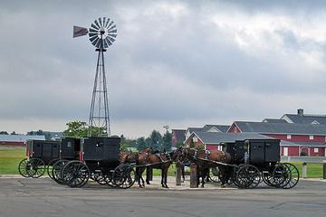 Private New York Day Trip to Amish Country with Amish Mennonite Guides