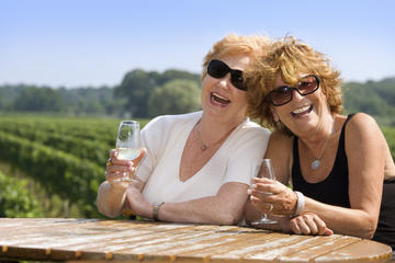 Classic Wanaka Wine Tour
