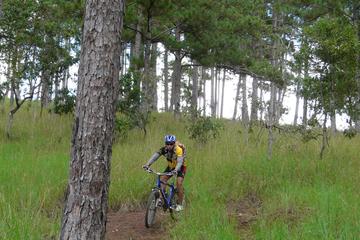 Crazy 8 Mountain Bike Tour from Dalat