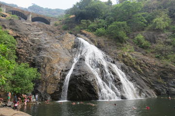 Full-Day Private Tour to Dudhsagar Falls and Spice Plantation From Goa