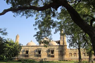 Full Day Private Tour: Vadodara and Champaner