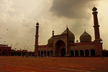 Private Bhopal Tour: State Museum Tribal Museum of Man Bharat Bhawan Taj UI Masjid Moti Masjid Upper Lake Birla Temple