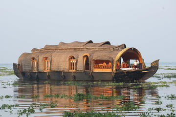 Private Day Tour to Ravi Karunakaran Museum and Coir Factory with an Alleppey Backwater Day Cruise