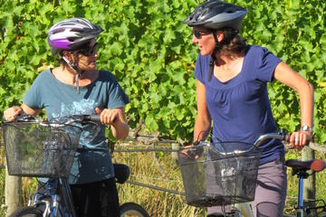 6-Hour Marlborough Wine Region Guided Bike Tour
