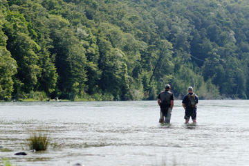 Full-Day Fly Fishing in Fiordland