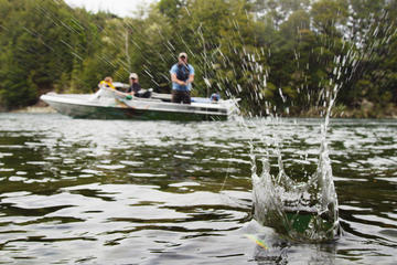 Half-Day Jet Boat Fishing in Fiordland