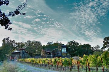 Day Trip Tasting Experience at Gracianna Winery near Healdsburg, California 