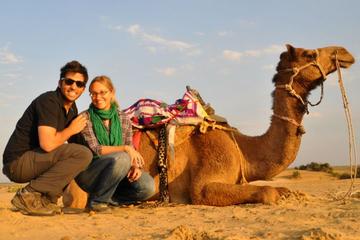 Camel Safari Day Tour In Jaisalmer