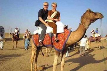 Camel Safari Day Tour in Jodhpur
