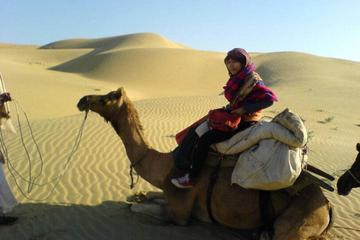 Full-Day Small-Group Camel Safari In Jaisalmer