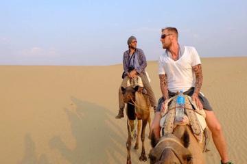 Private Tour : Jaisalmer City Tour and Camel Safari