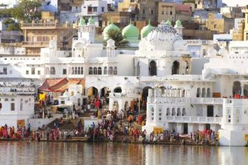 Private Transfer From Delhi To Pushkar